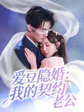 爱豆隐婚:我的契约老公