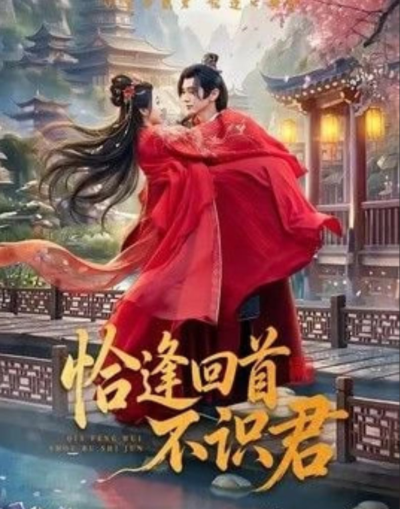 恰逢回首不识君