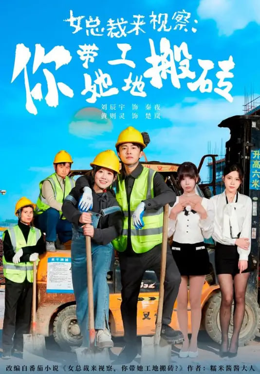 女总裁来视察:你带她工地搬砖