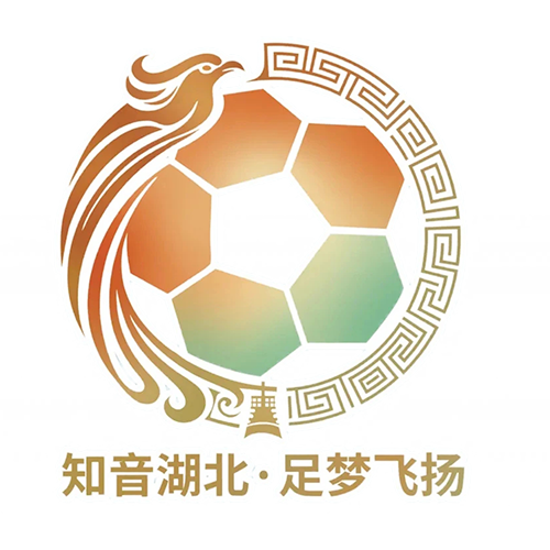 湖北省城市足球联赛 孝感孝傲江湖队VS武汉华工科技队20260718