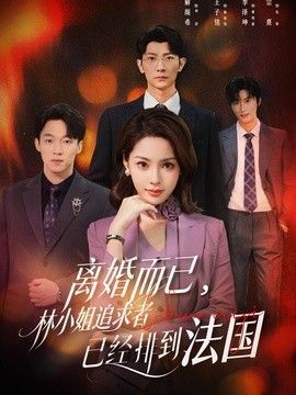 离婚而已,林小姐追求者已经排到法国