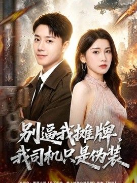 别逼我摊牌,我司机只是伪装