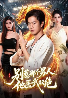 别惹那个男人,他医武双绝