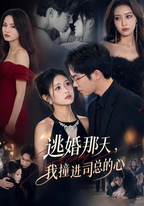逃婚那天,我撞进司总的心