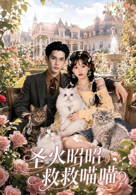 圣火昭昭,救救喵喵