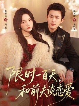 限时一百天,和前夫谈恋爱