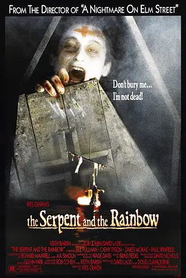 蛇与彩虹[电影解说]