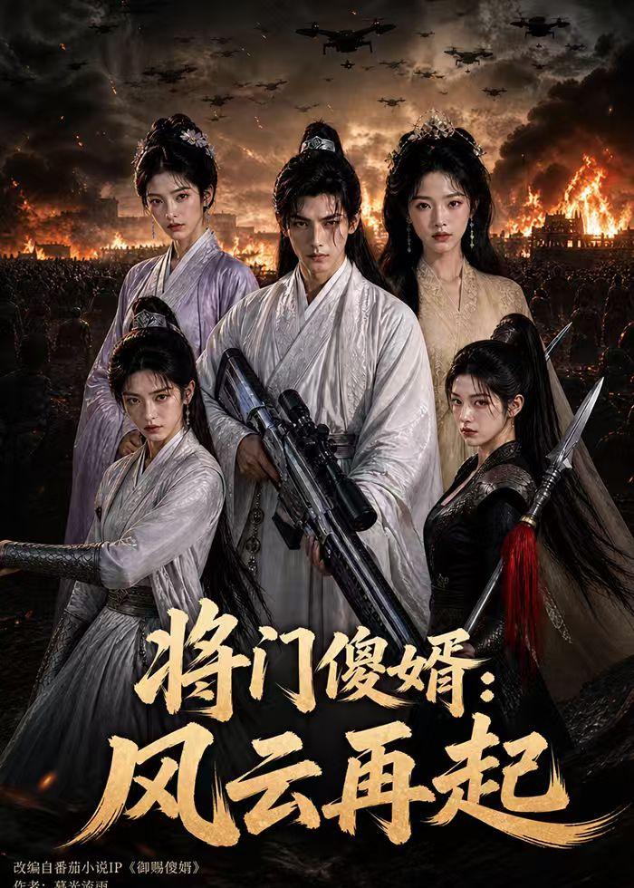 将门傻婿:风云再起