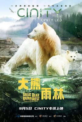 大熊雨林预告片