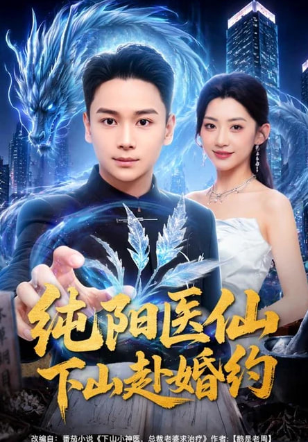 纯阳医仙下山赴婚约