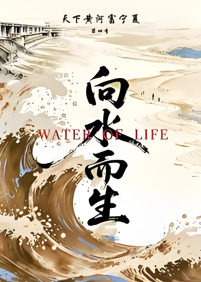 天下黄河富宁夏 第四季